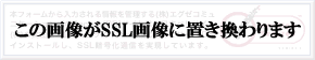 SSL�}�[�N